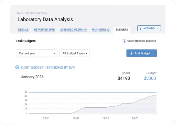 Monitor project budgets in real time