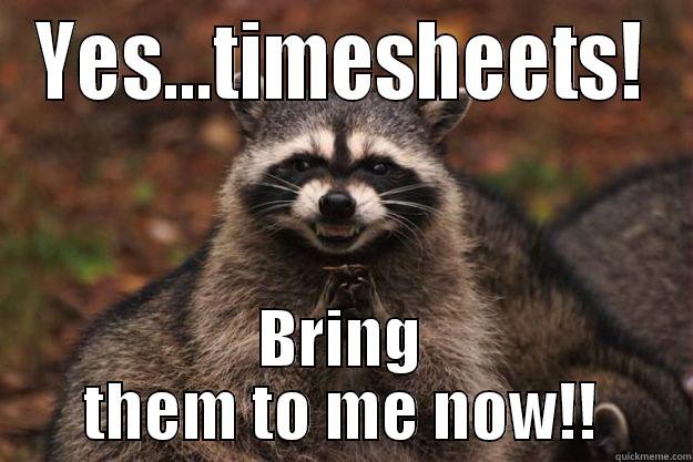 Recoon timesheet meme