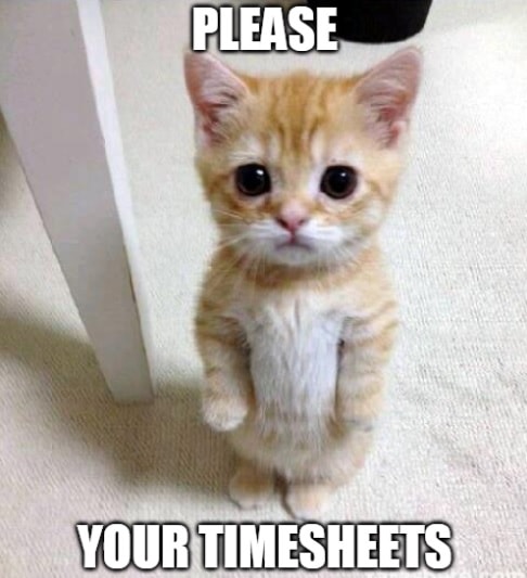 Timesheet meme for managers #7