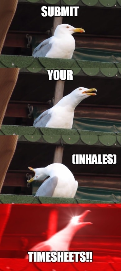 Timesheet meme for managers #4